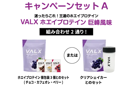 キャンペーンセットA