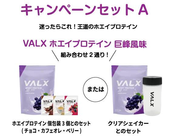 キャンペーンセットA