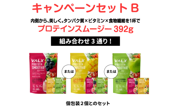 キャンペーンセットB