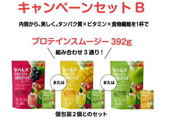 キャンペーンセットB