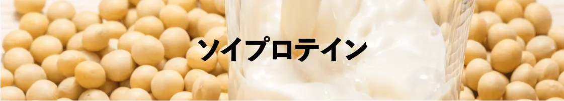 ソイプロテイン