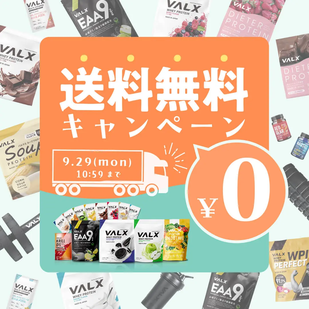 ネイルン100gバルクセット ネイルン100gバルクセット ネイルン100gバルクセット 全ての