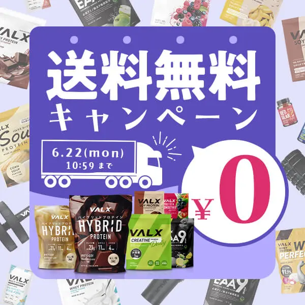 VALX 送料無料キャンペーン