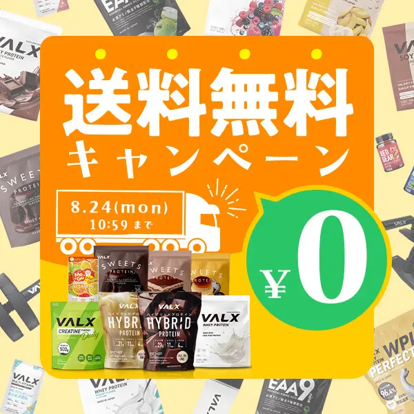 VALX 送料無料キャンペーン