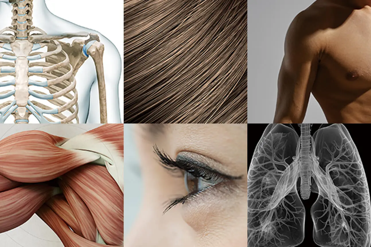 プロテインとは