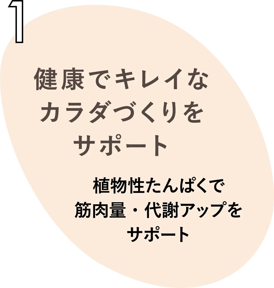 健康でキレイなカラダづくりをサポート