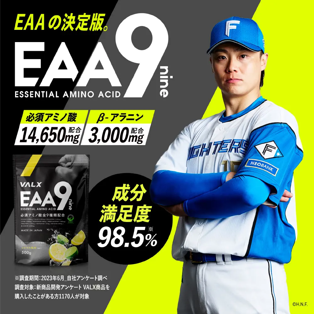 EAAの決定版。EAA9