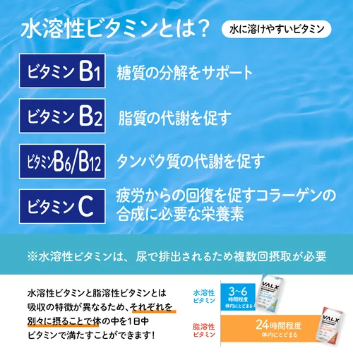 マルチビタミン 水溶性ビタミン | プロテイン・サプリ（クレアチン
