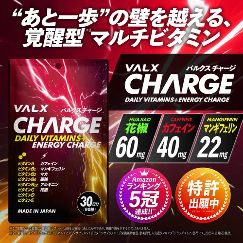 VALX CHARGE | プロテイン・サプリ（クレアチン、EAA）ならVALX