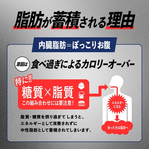 レッドギア+ナクセルセット | プロテイン・サプリ（クレアチン、EAA