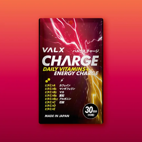 【プレゼント】VALX CHARGE