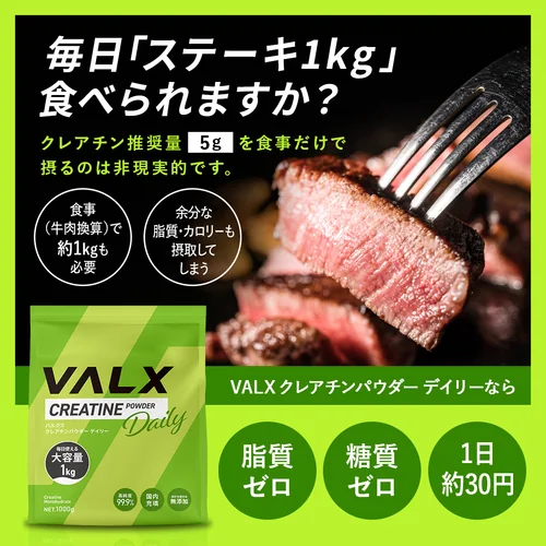 クレアチンパウダーデイリー | プロテイン・サプリ（クレアチン、EAA