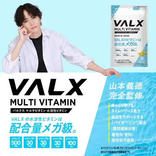 マルチビタミン 水溶性ビタミン | プロテイン・サプリ（クレアチン